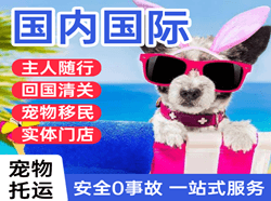 白山航空物流国际宠物托运 【国